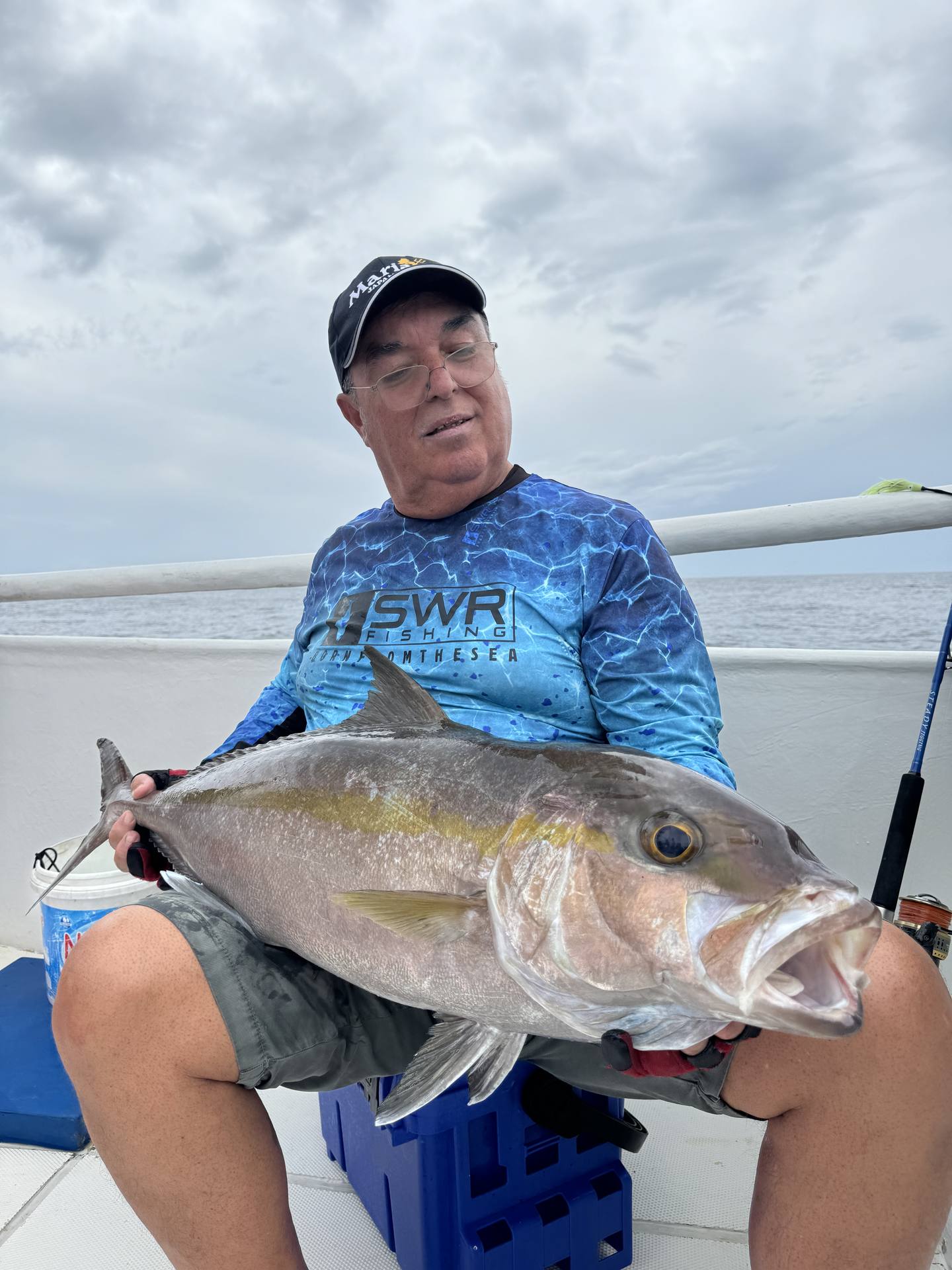 Image - 380f03f5-5009-4422-87d5-dab1dd05f178