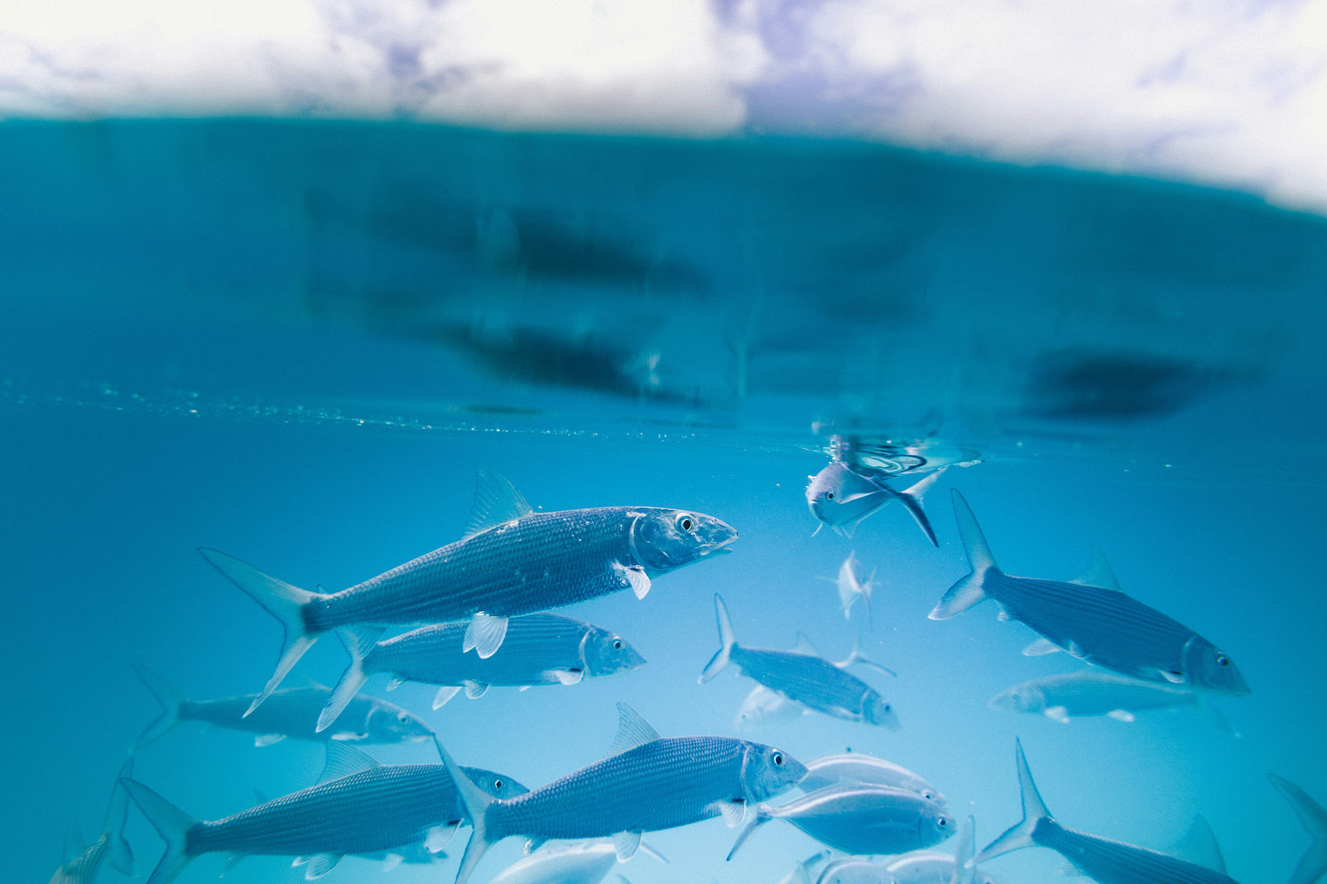 Image - 39864cb0-aaa1-422b-9af4-55001043c4c1