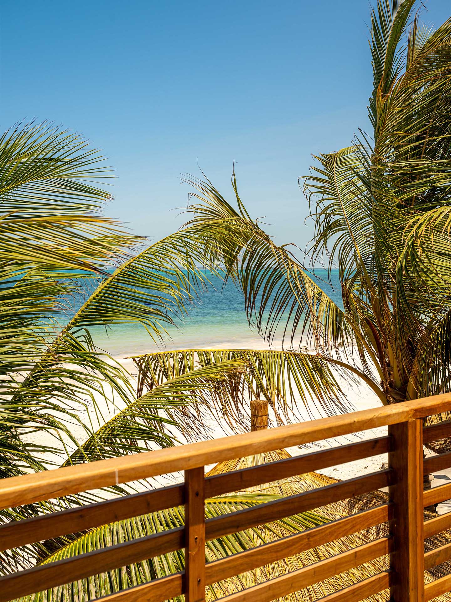 Image - cc6c21d9-3058-4a19-9623-753a40ab3545