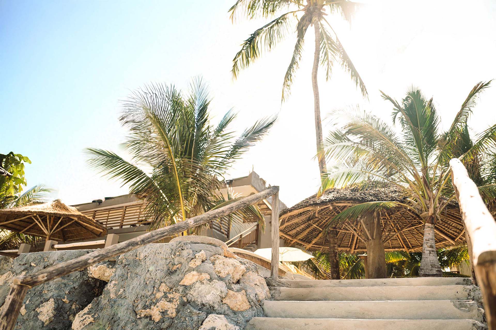 Image - fd596222-575d-4d00-8190-234a1816baa2