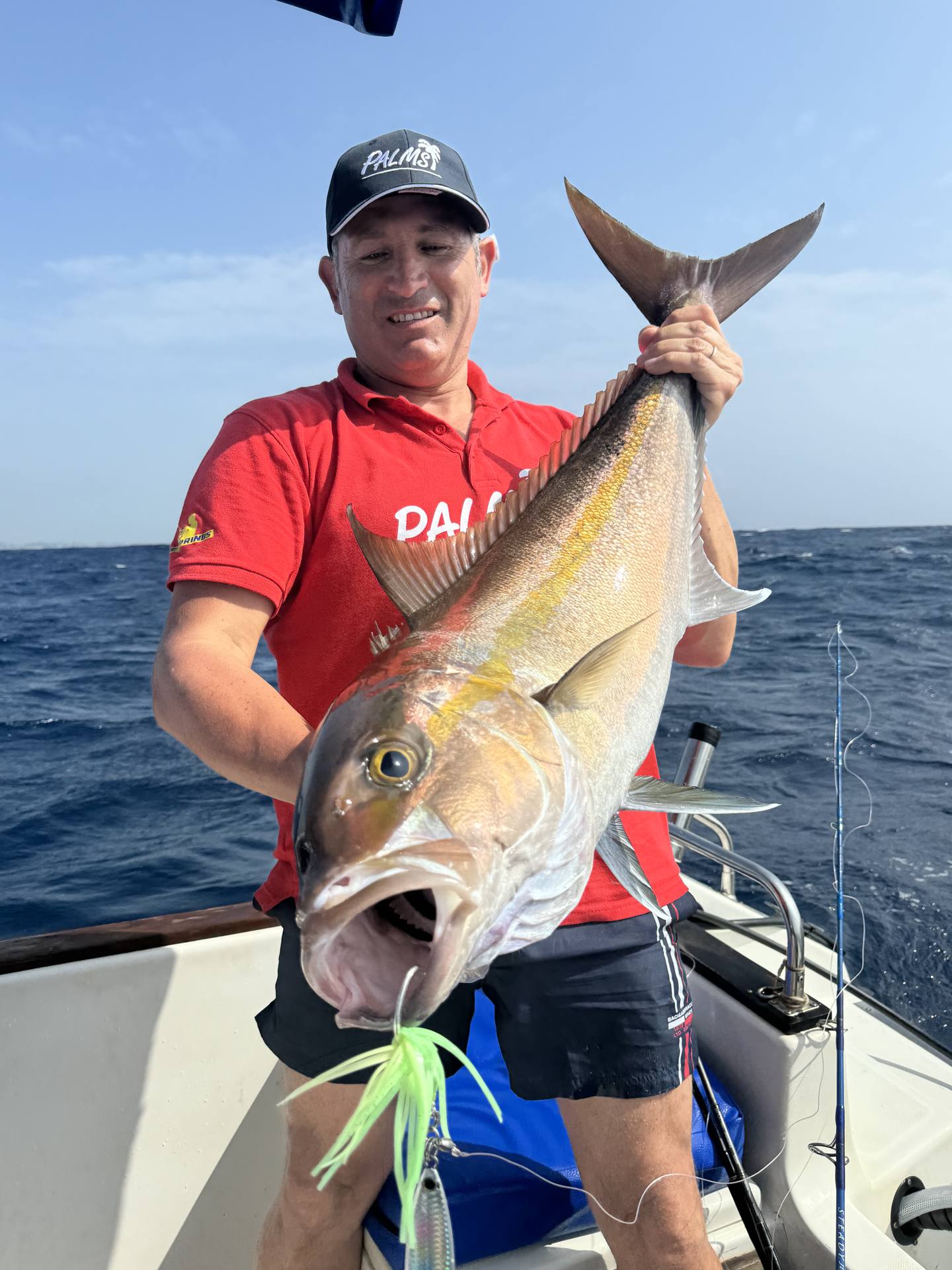 Image - 082a5477-a31b-4e25-8961-9b1c640da28b