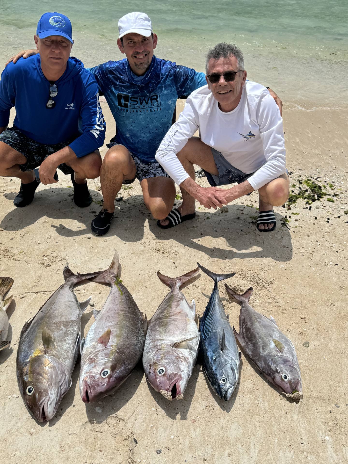 Image - c81a41a5-b79d-4fd9-b05a-a4eea56dfdde